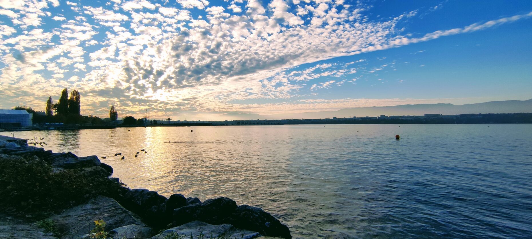 Quai de Cologny | Switzerland